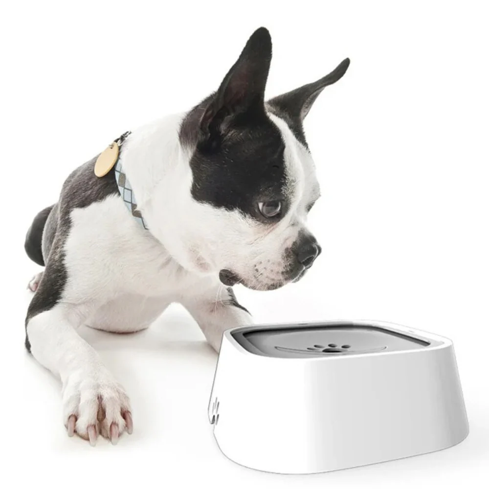 Large Capacity Anti-Overflow Dog Drinking Water Bowl - Image 8