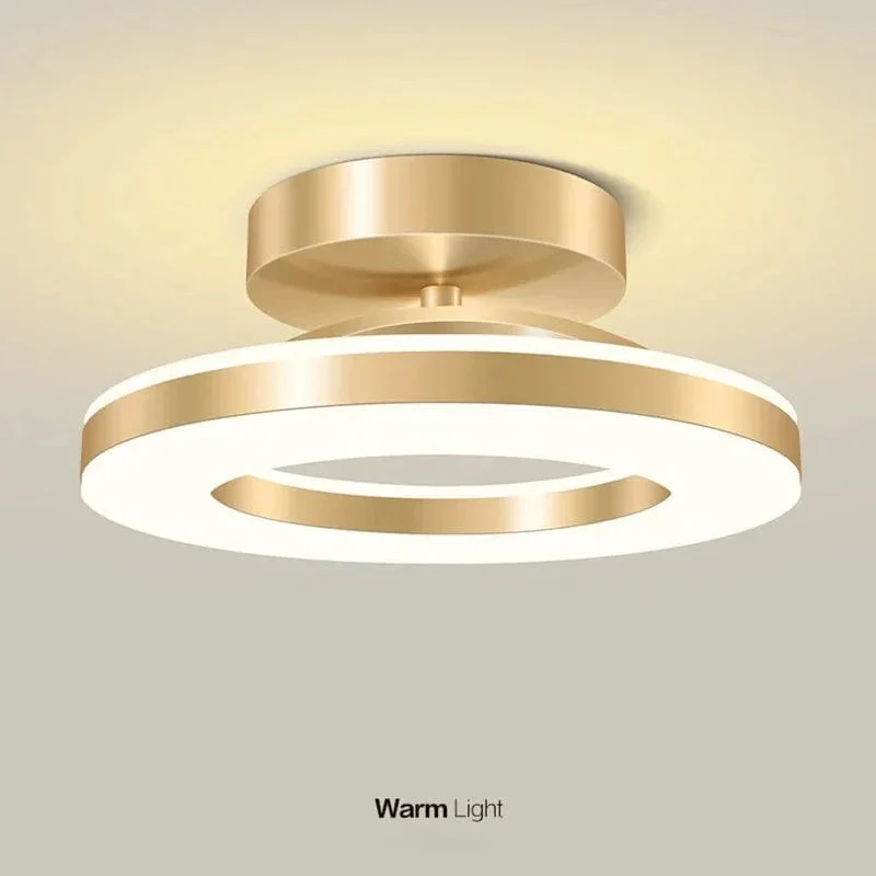 LED Ceiling Light Fixture - Image 5