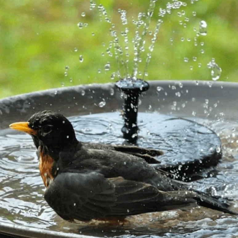 LED Solar Energy Fountain - Image 4