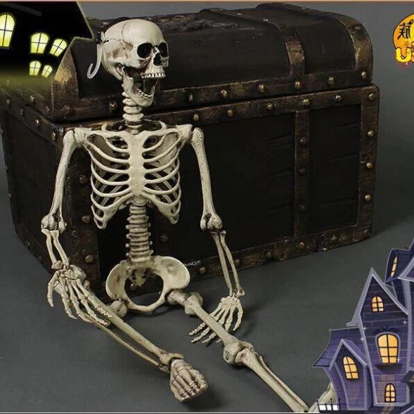 Life-Size Skeleton Decoration - Image 4