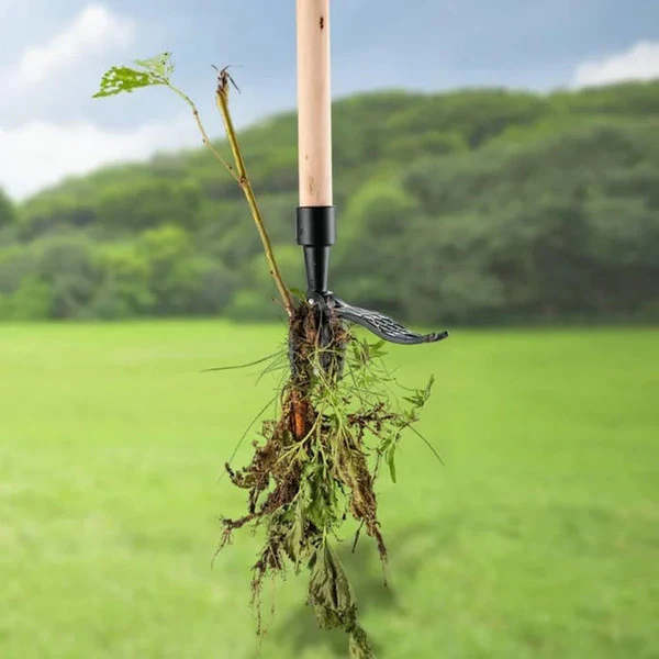 Mechanical Weeder - Image 5