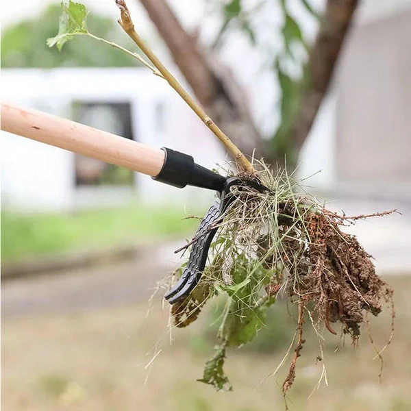 Mechanical Weeder - Image 7