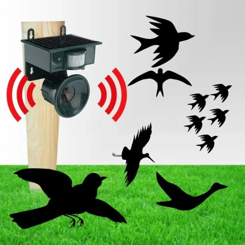 Motion Sensor Bird Deterrent for Crows: Ideal Pigeon Repeller with Sound Scarer - Image 9