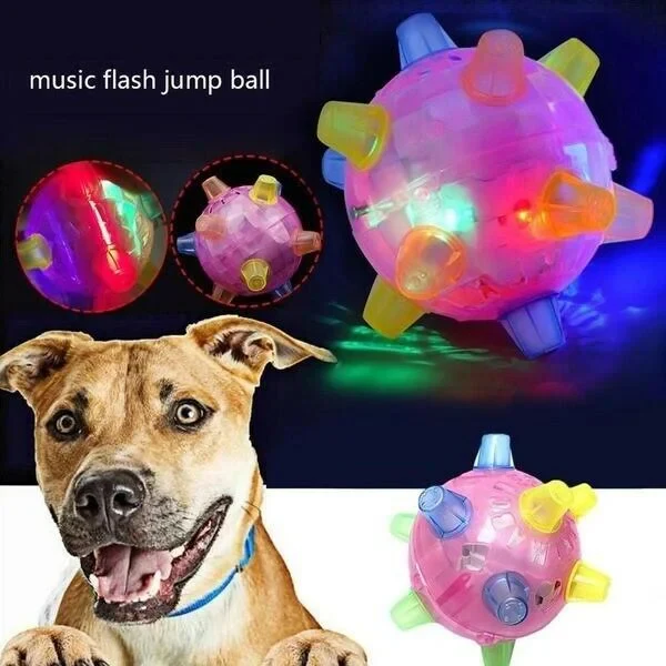 New Jumping Activation Ball For Dogs - Image 2
