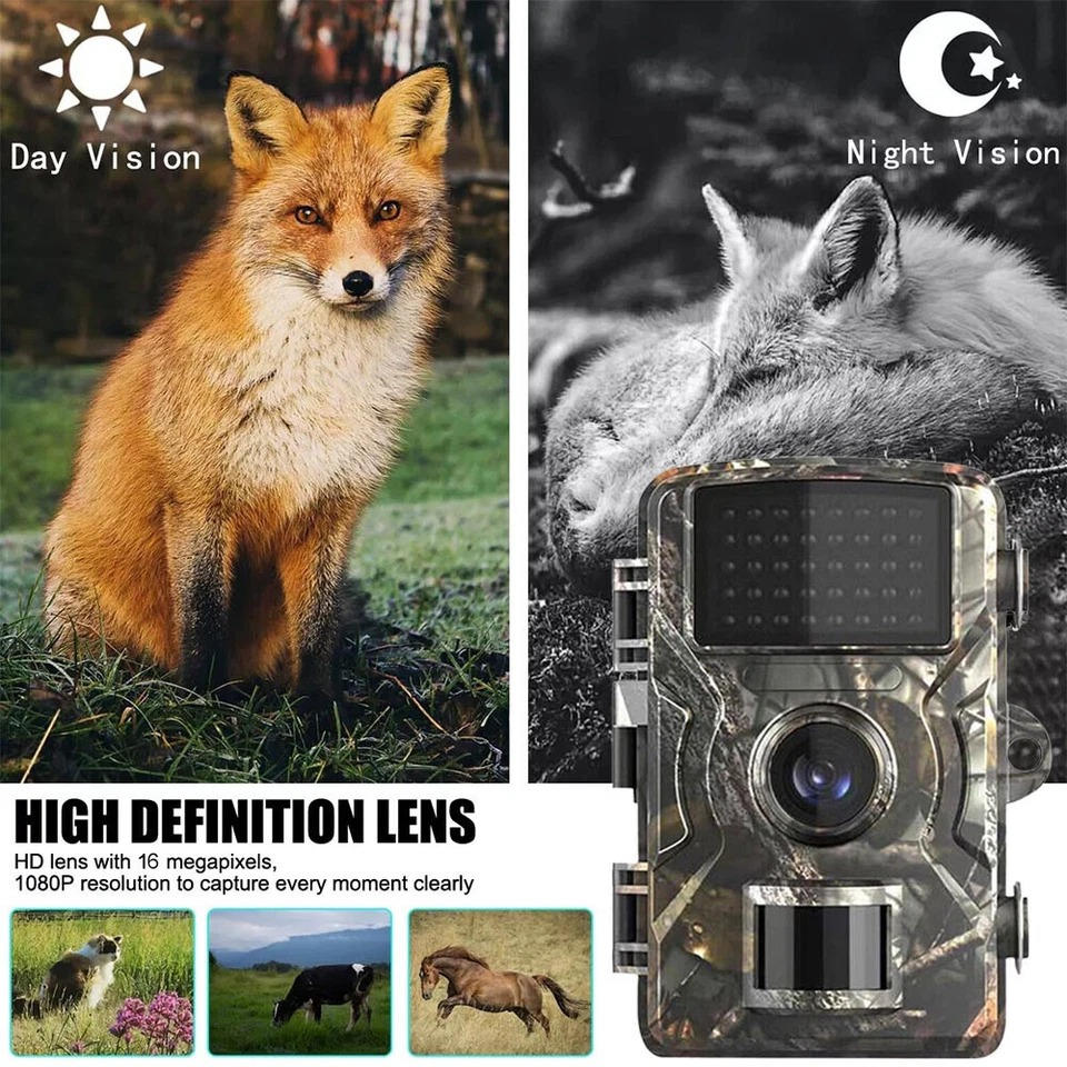 Night Vision Outdoor Wildlife Animal Camera - Image 3
