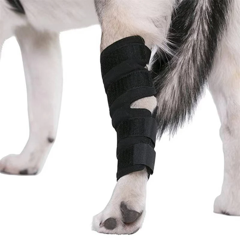 Orthopedic Braces For Dogs - Image 4