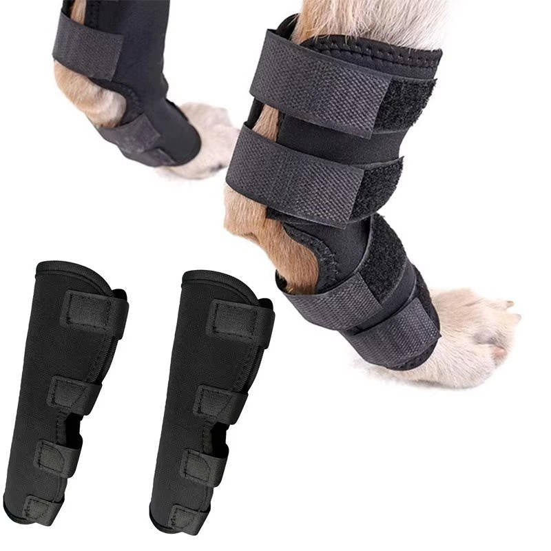 Orthopedic Braces For Dogs - Image 6