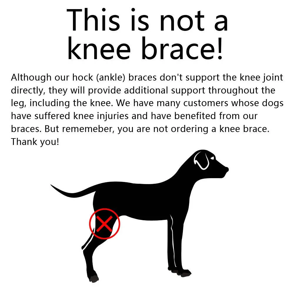 Orthopedic Braces For Dogs - Image 7