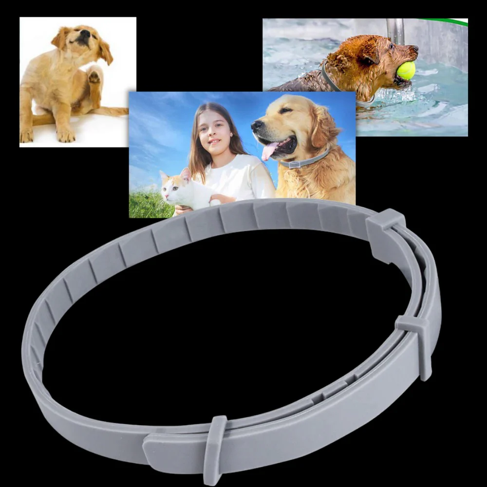 Parasite Repellent Pet Collar - Image 2