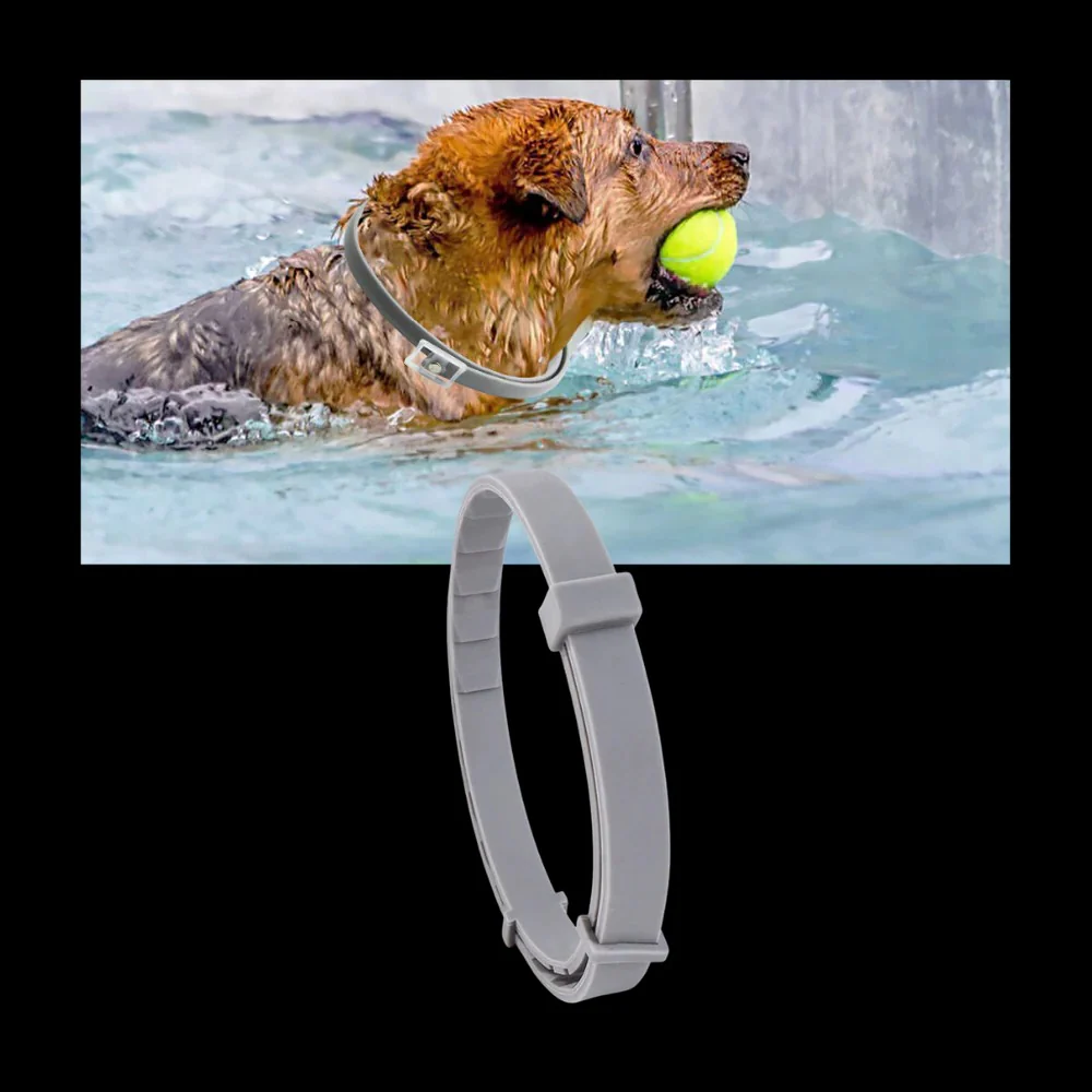 Parasite Repellent Pet Collar - Image 7