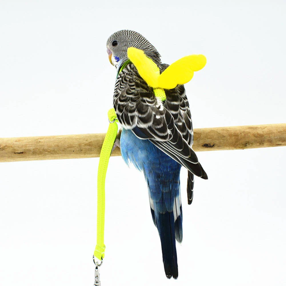 Parrot Bird Harness - Image 3