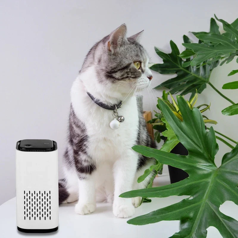 Pet Air Purifier - Image 5