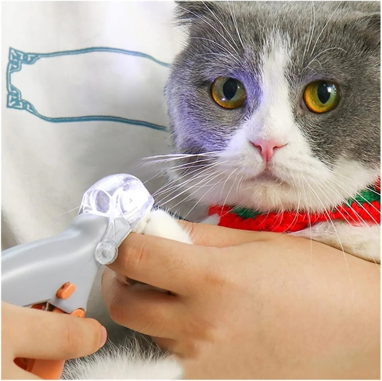 Pet Bail Clipper With Light - Image 2