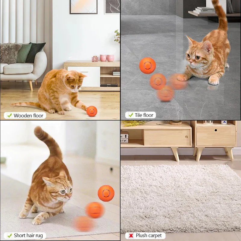 Pet Ball (Special Edition) - Image 3