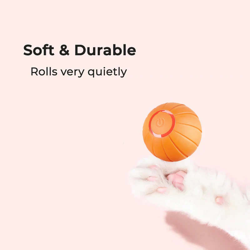 Pet Ball (Special Edition) - Image 4