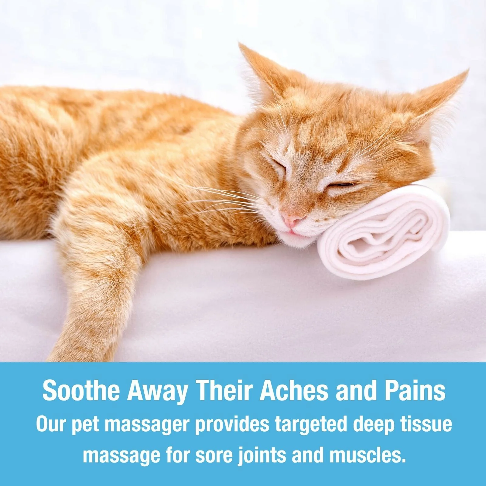 Pet Massager - Image 3