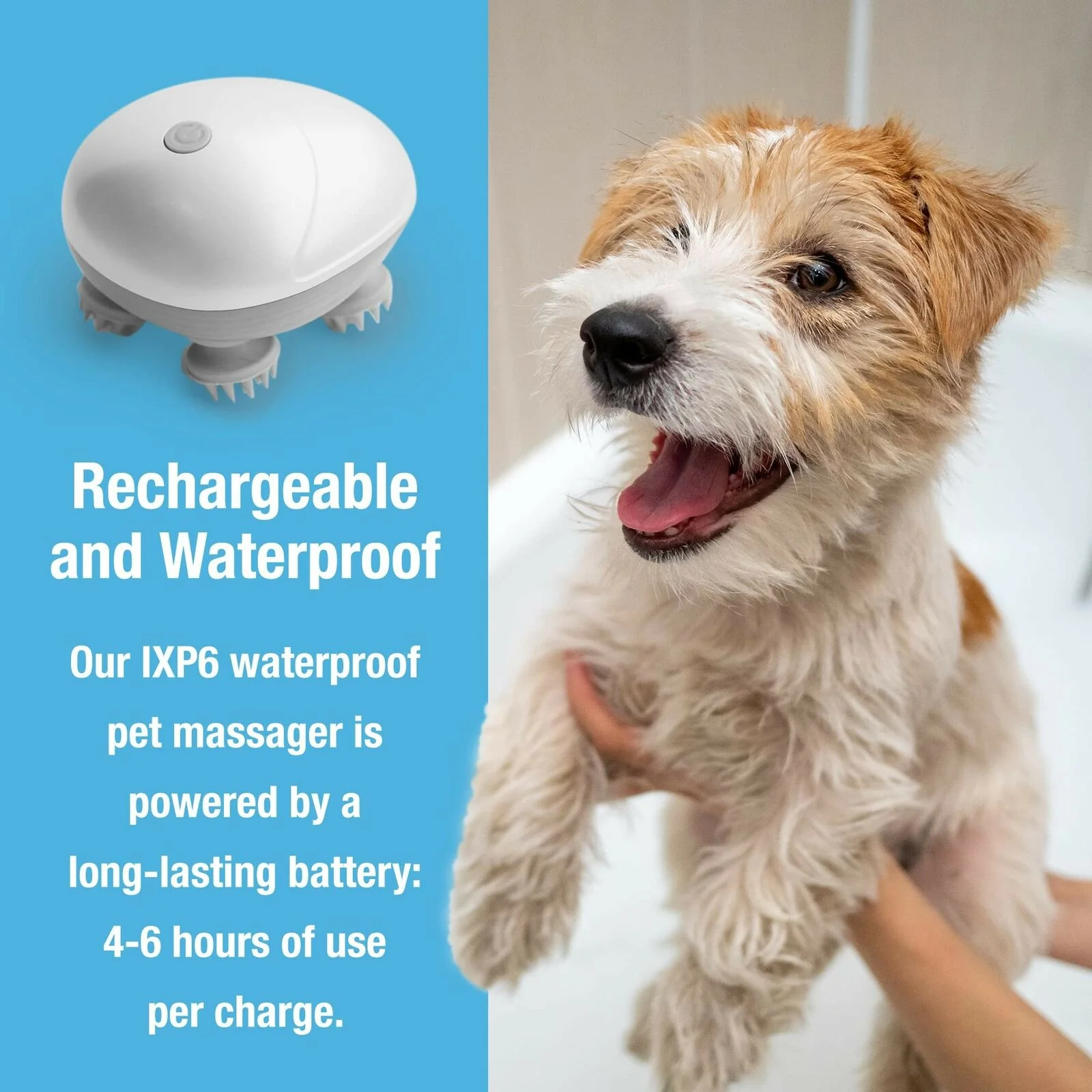 Pet Massager - Image 6