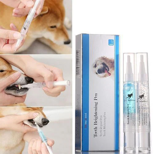 Pet's Teeth Health By Repairing and Preventing Disease - Image 3