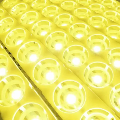 Premium Egg Incubator Automatic Chicken Quail Egg Hatcher 24 Eggs - Image 3