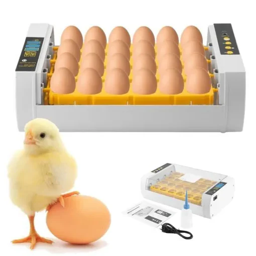 Premium Egg Incubator Automatic Chicken Quail Egg Hatcher 24 Eggs - Image 7