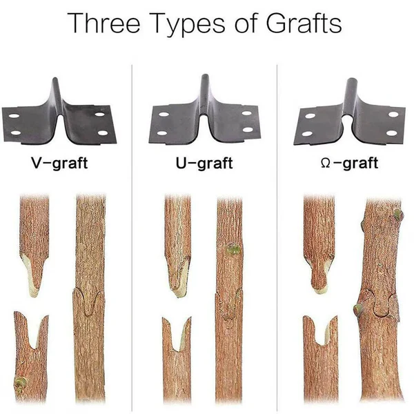 Professional Grafting & Pruning Tool - Image 4