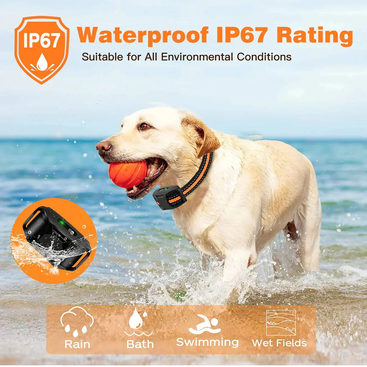 Remote Dog Training E-Collar - Image 3