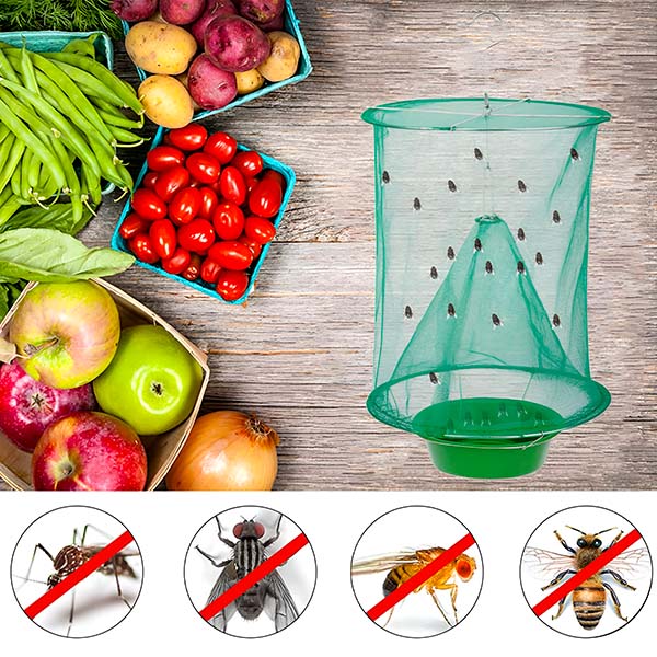 Reusable Fly Trap - Image 5