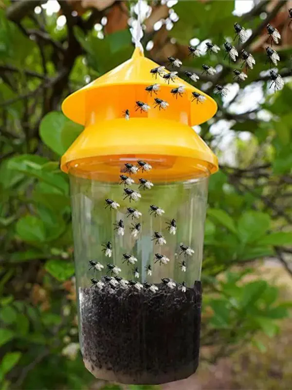 Reusable Outdoor Hanging Fly Trap - Image 3