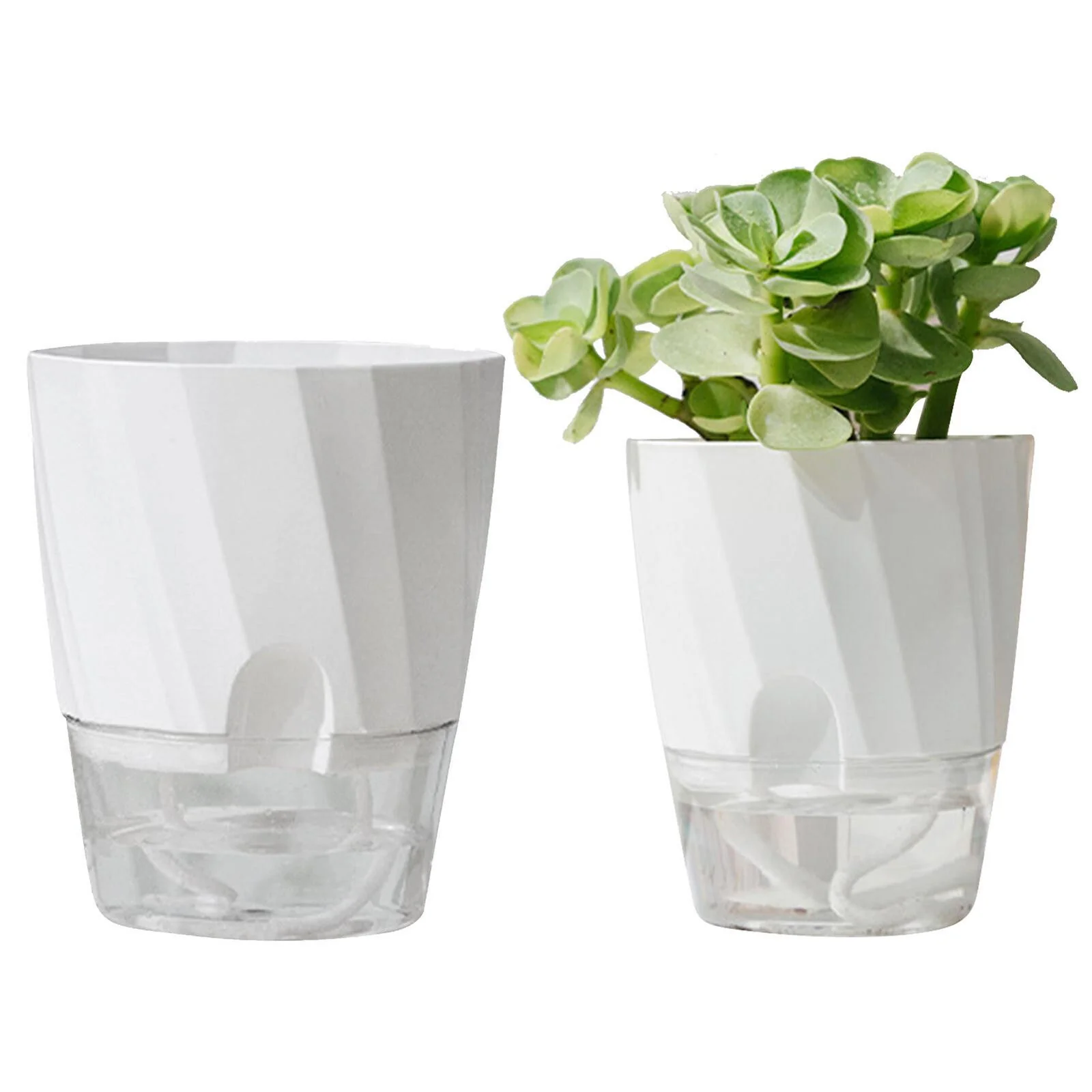 Self Watering Planter - Image 2