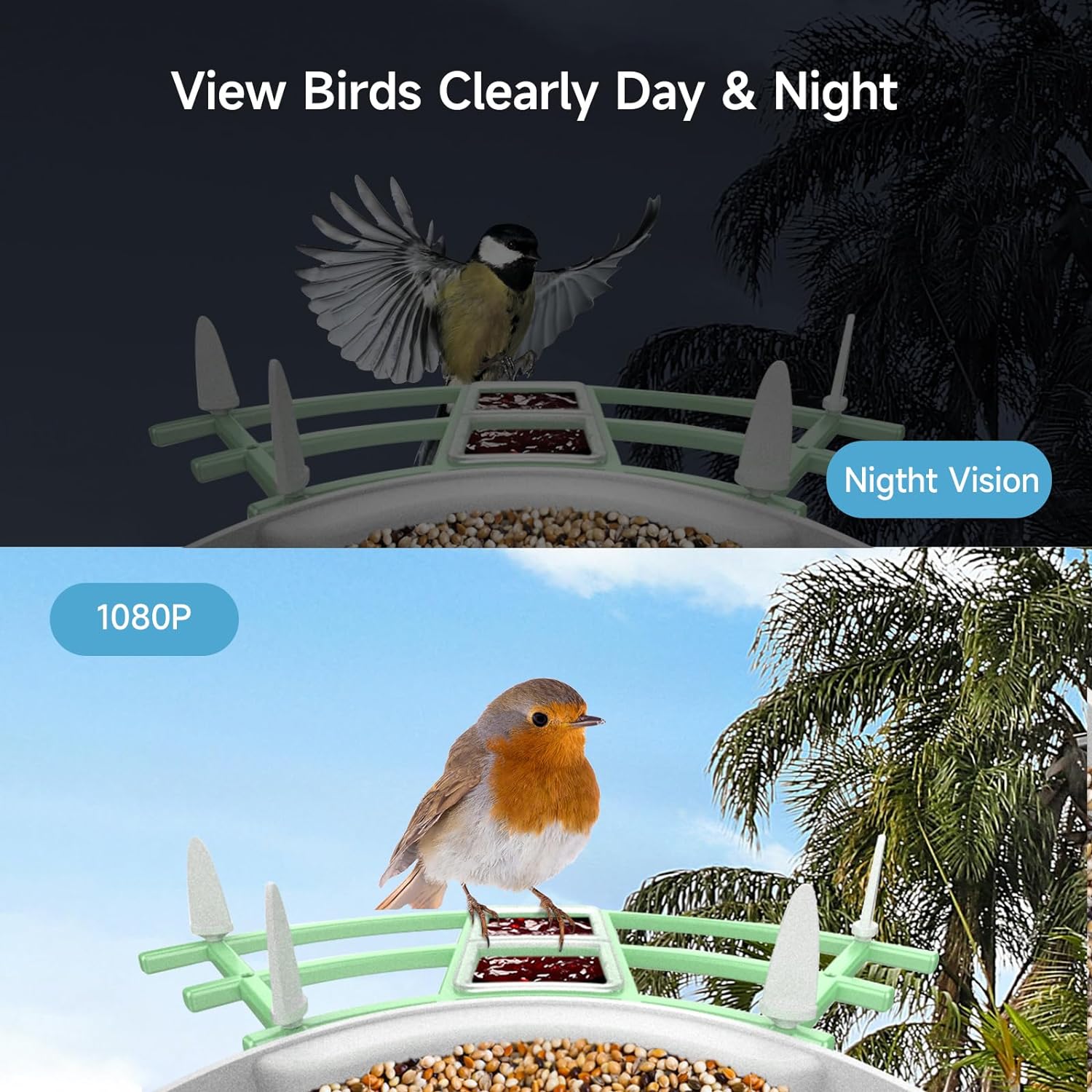 Smart Bird Feeder Camera - Image 3