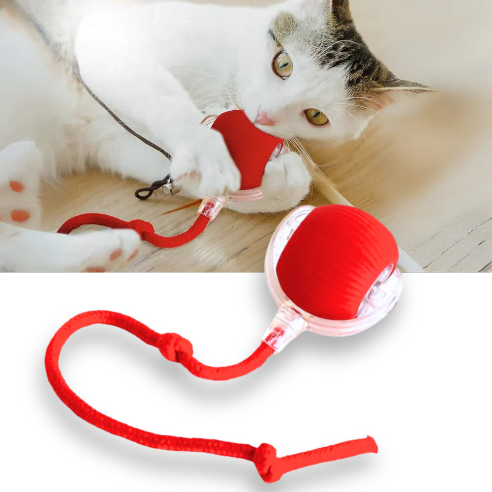 Smart Interactive Cats Ball Toy - Image 10