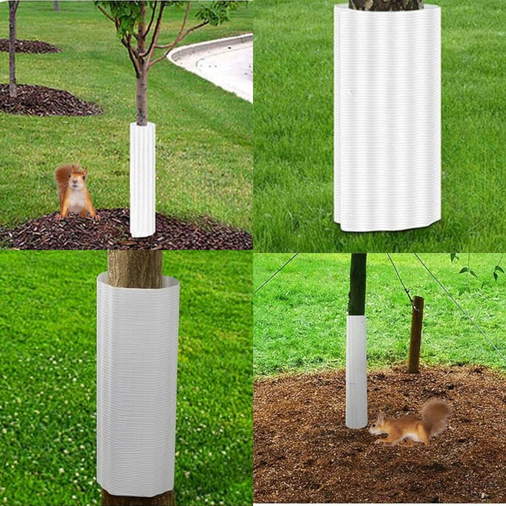 Squirrel Baffle For Trees - 6 Pack - Image 5