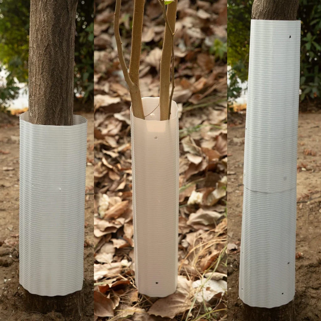Squirrel Baffle For Trees - 6 Pack - Image 6