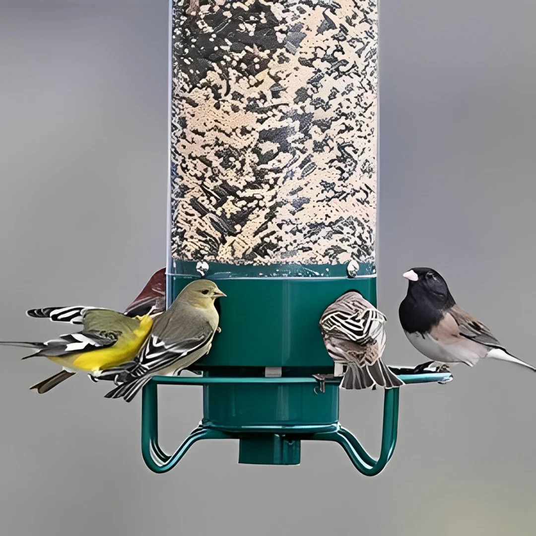 Squirrel-Proof Bird Feeder - Image 2