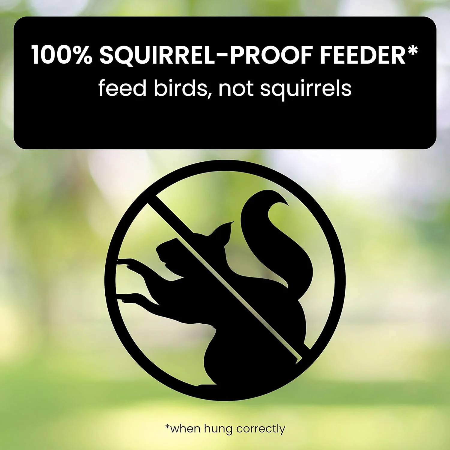 Squirrel-Proof Bird Feeder - Image 4
