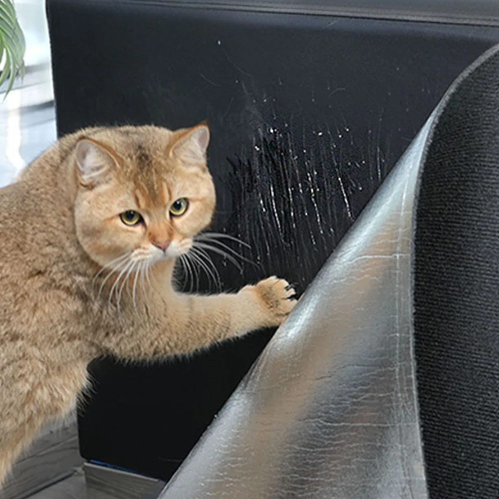 Ultimate Cat Scratch Couch Guard Protector Carpet Mat - Image 9