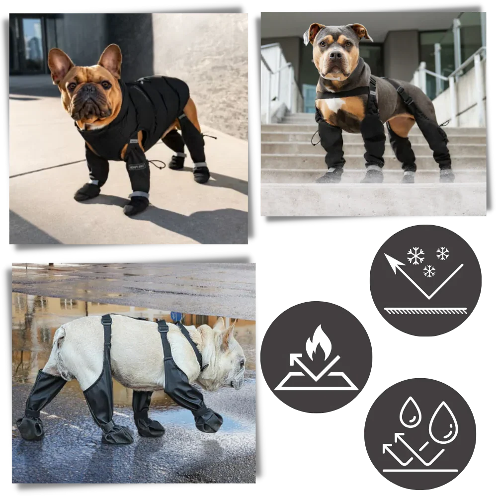 Waterproof Dog Suspenders Boots - Image 3