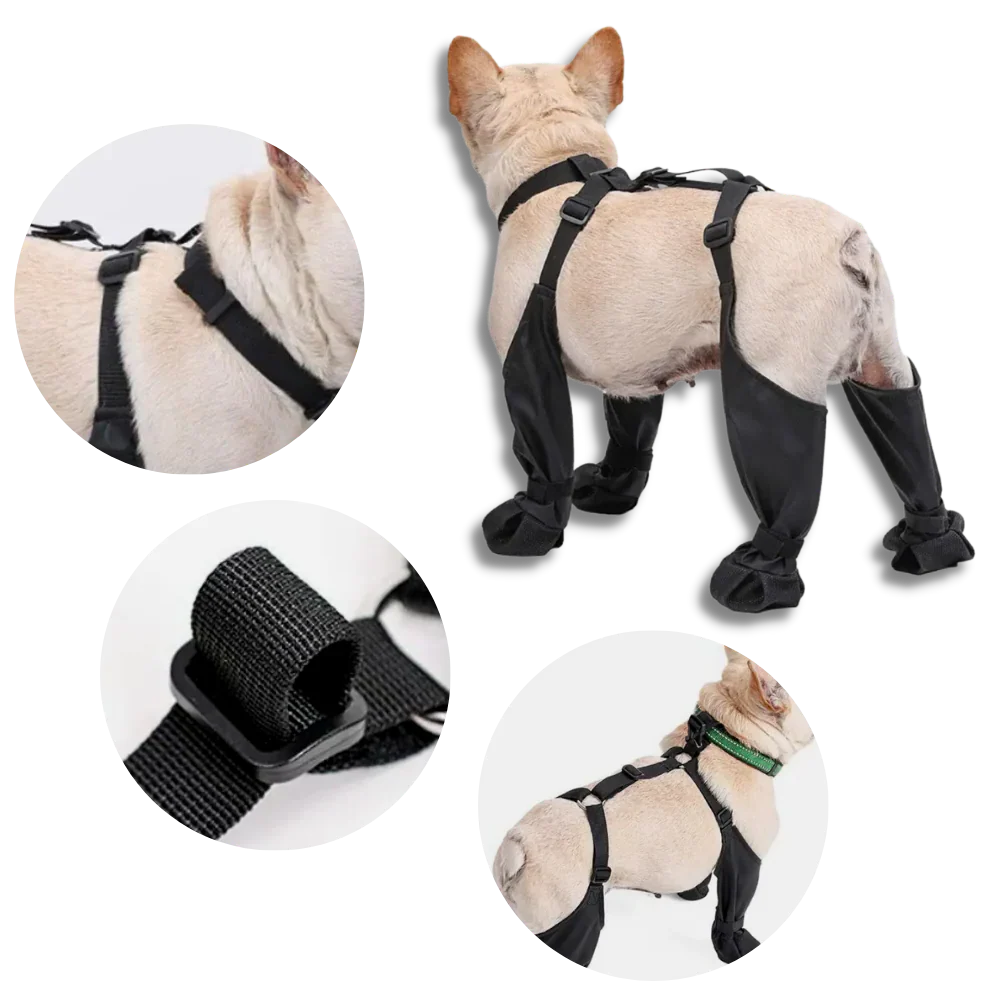 Waterproof Dog Suspenders Boots - Image 4