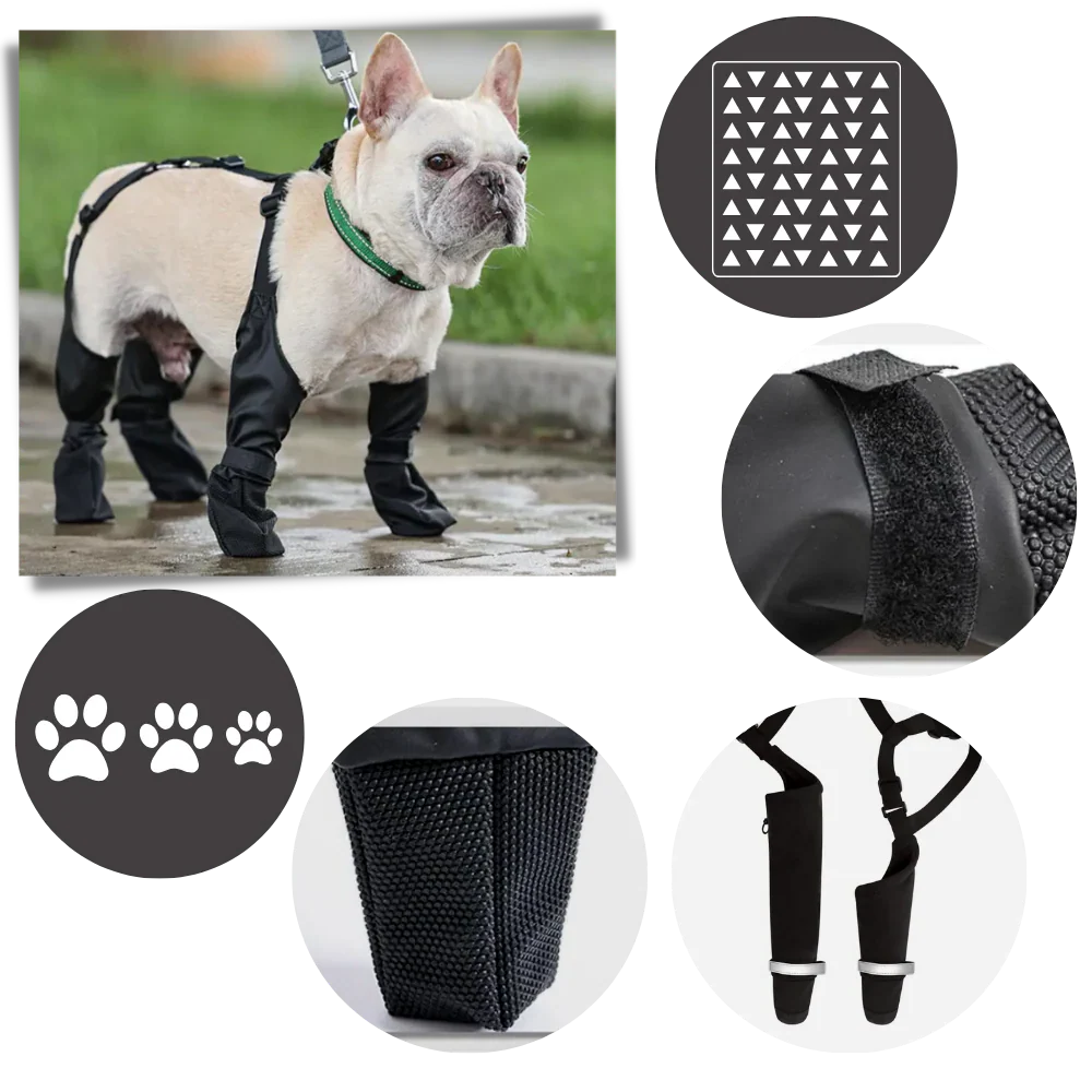 Waterproof Dog Suspenders Boots - Image 5