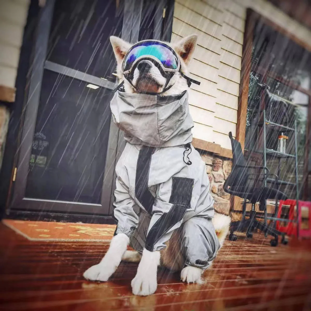 Waterproof Dogs Raincoat - Image 2