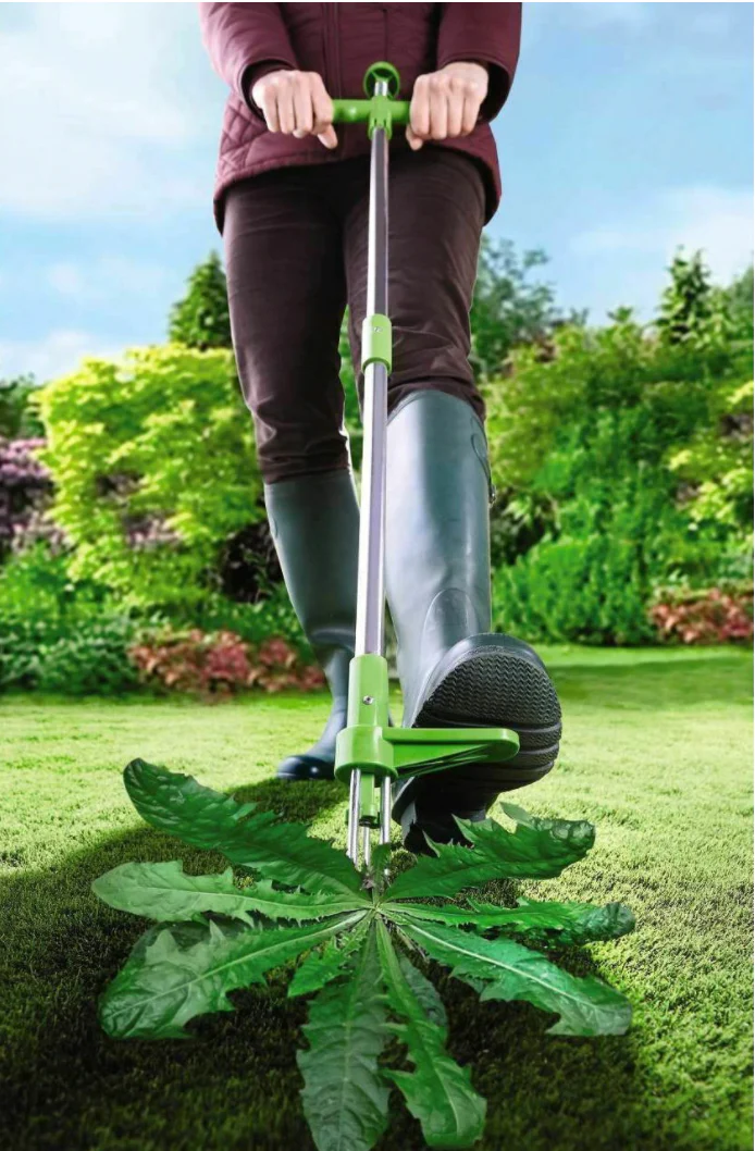 Weed puller - Garden grass root remover - Image 3