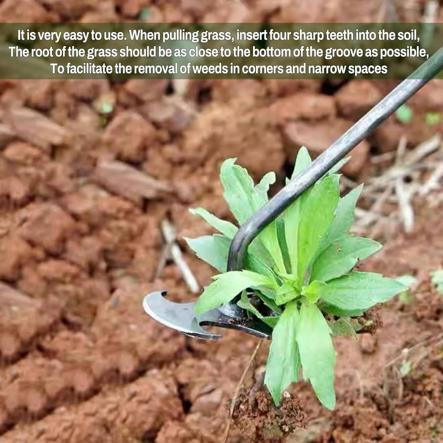 Weed Tool Remover - Image 3