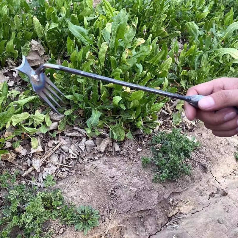 Weed Tool Remover - Image 9